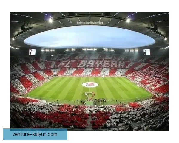 韦阿技术全面性引发关注，球场表现持续稳健彰显潜力